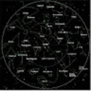 Meet your Posher, Faviola